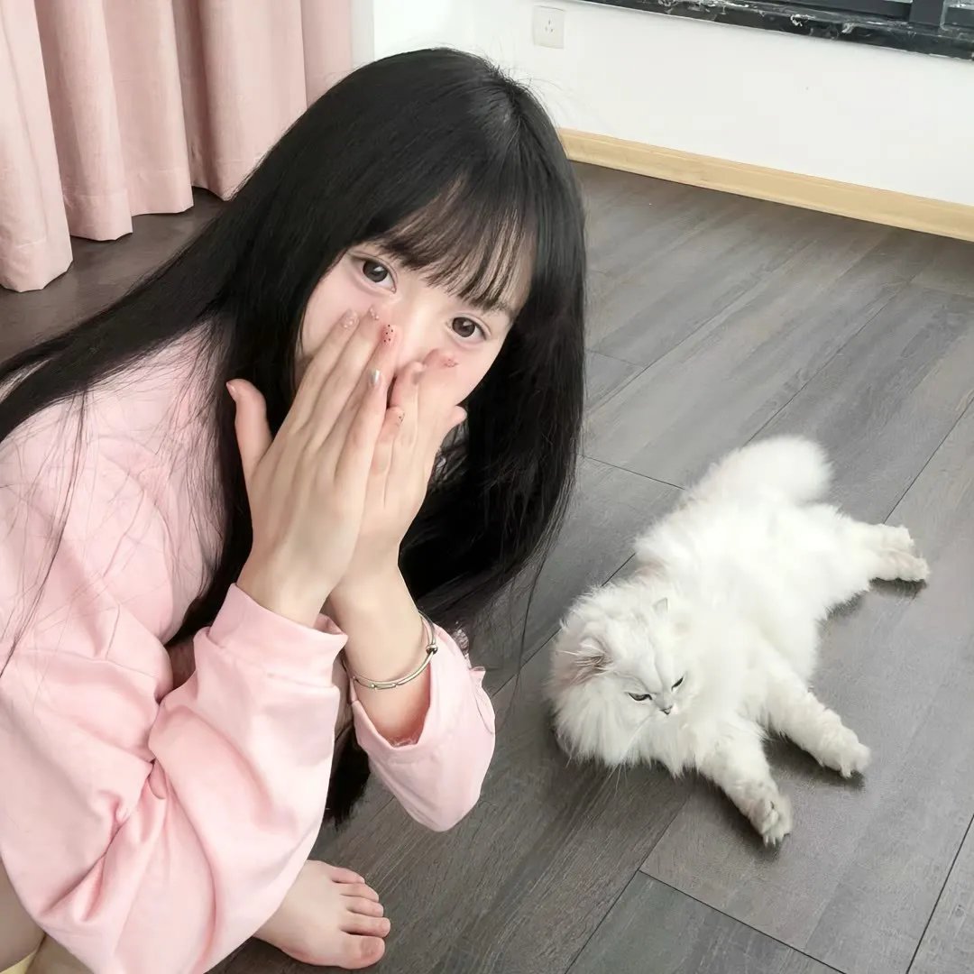 酱狗